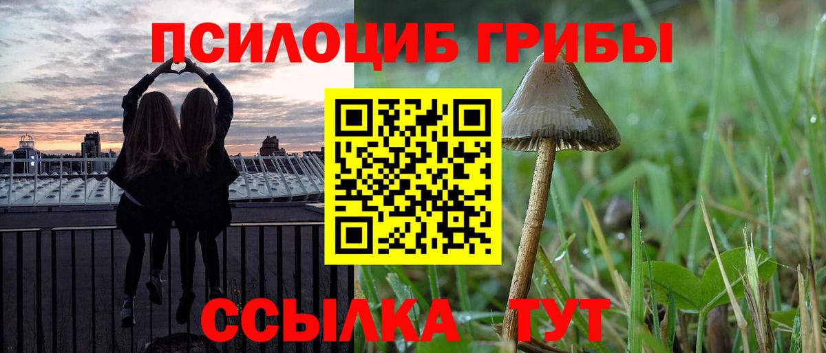 Псилоцибиновые грибы ЛСД  Вход с VPN  Обь  Псилоцибиновые грибы прущие грибы 