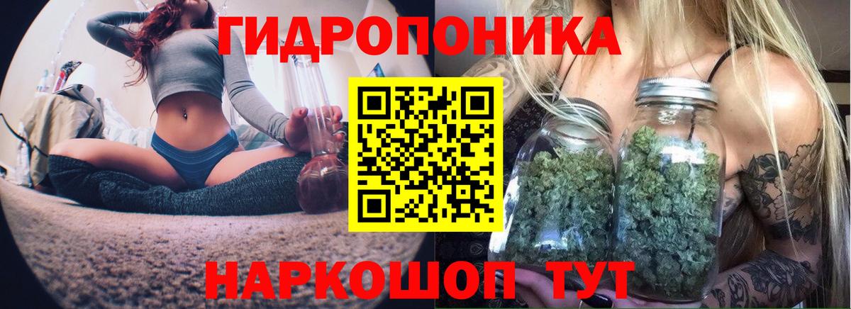Бошки марихуана THC 21% Обь